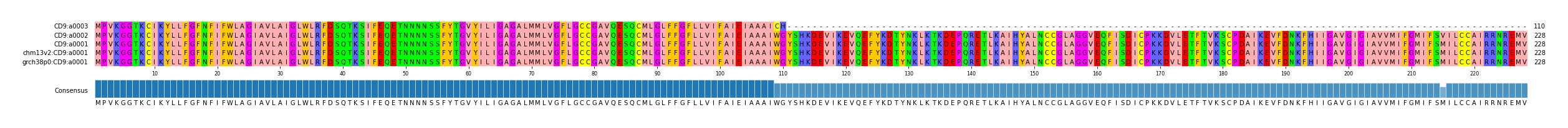 Multiple Alignments (by translate haplotype similarity)