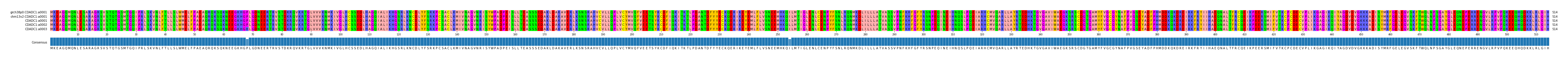 Multiple Alignments (by translate haplotype frequency)