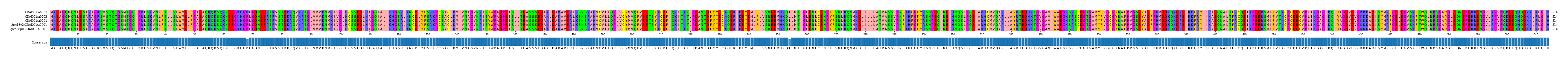 Multiple Alignments (by translate haplotype similarity)