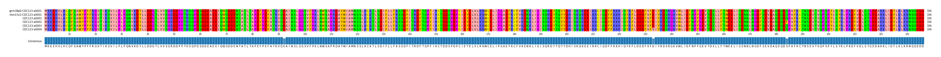 Multiple Alignments (by translate haplotype frequency)