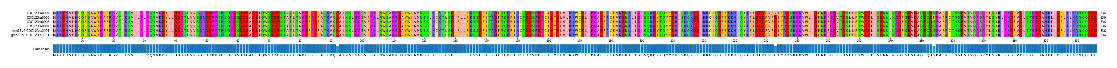 Multiple Alignments (by translate haplotype similarity)