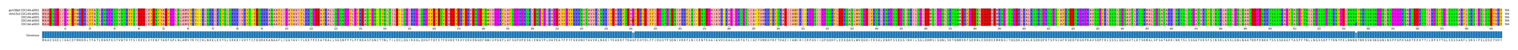 Multiple Alignments (by translate haplotype frequency)