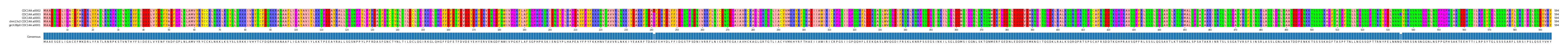 Multiple Alignments (by translate haplotype similarity)