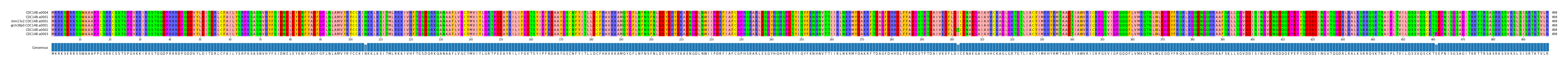 Multiple Alignments (by translate haplotype similarity)