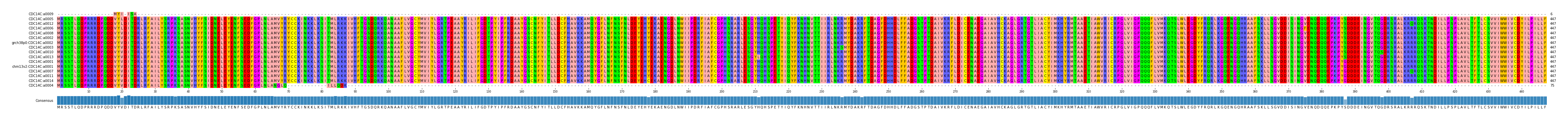 Multiple Alignments (by translate haplotype similarity)