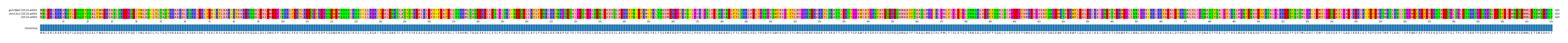 Multiple Alignments (by translate haplotype similarity)