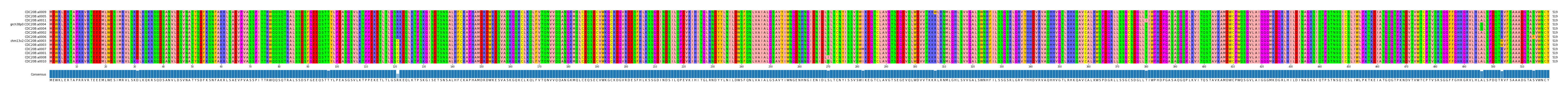 Multiple Alignments (by translate haplotype similarity)