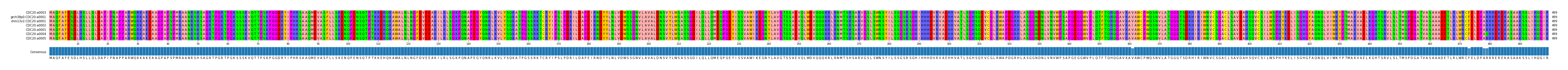 Multiple Alignments (by translate haplotype similarity)