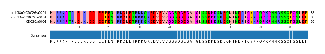 Multiple Alignments (by translate haplotype similarity)