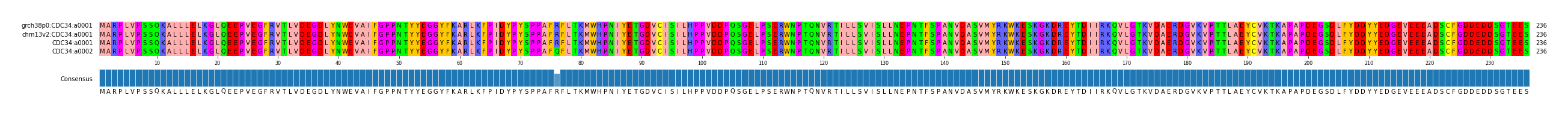 Multiple Alignments (by translate haplotype similarity)