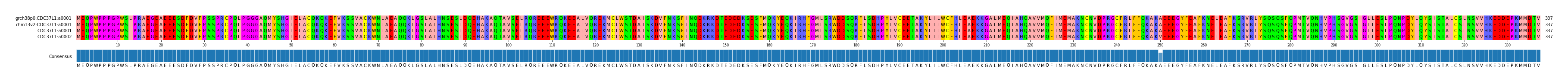 Multiple Alignments (by translate haplotype similarity)