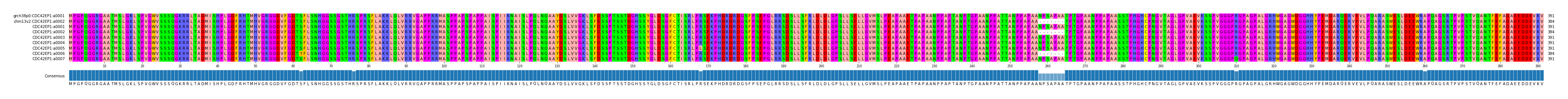 Multiple Alignments (by translate haplotype frequency)