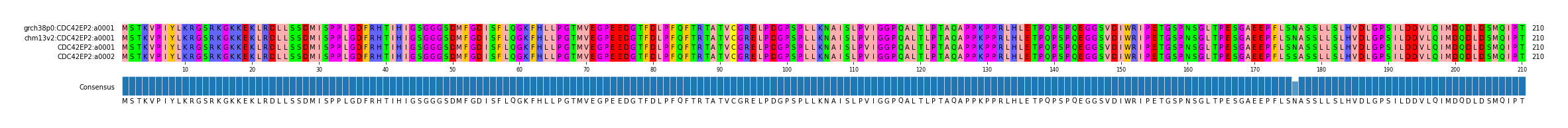 Multiple Alignments (by translate haplotype frequency)