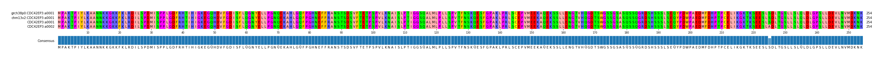 Multiple Alignments (by translate haplotype similarity)