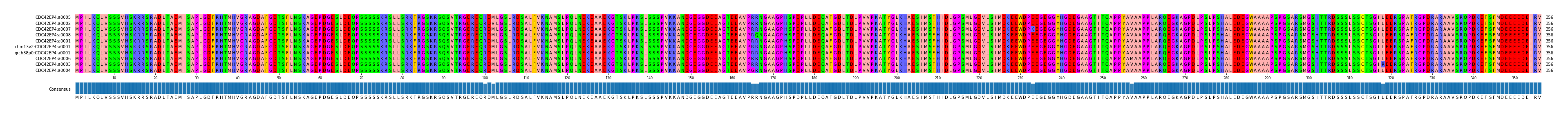 Multiple Alignments (by translate haplotype similarity)