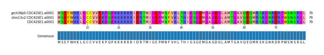Multiple Alignments (by translate haplotype similarity)