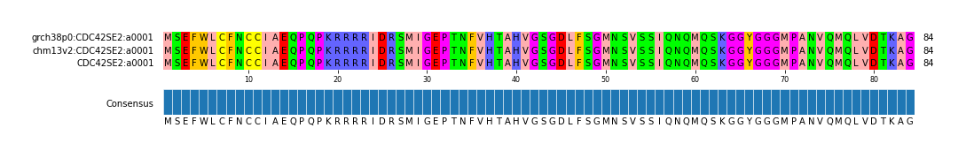 Multiple Alignments (by translate haplotype similarity)