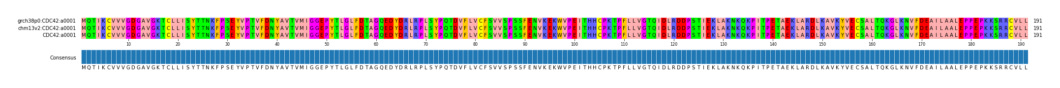 Multiple Alignments (by translate haplotype frequency)