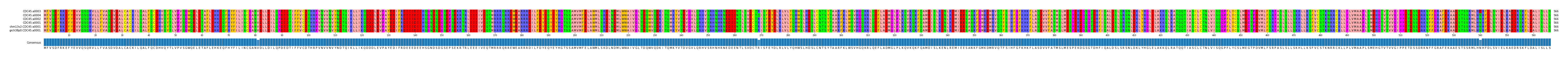 Multiple Alignments (by translate haplotype similarity)