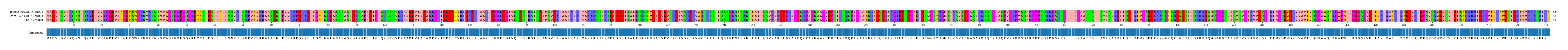 Multiple Alignments (by translate haplotype similarity)