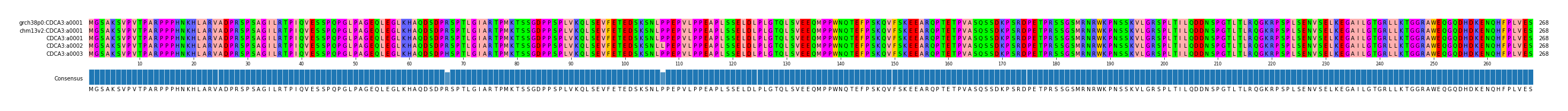 Multiple Alignments (by translate haplotype frequency)