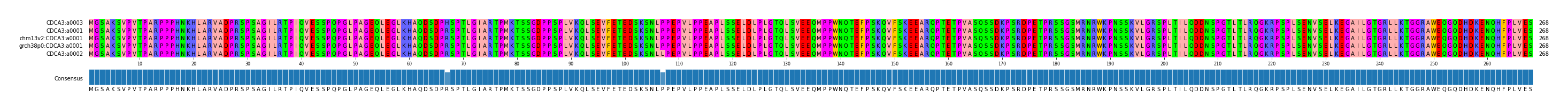 Multiple Alignments (by translate haplotype similarity)