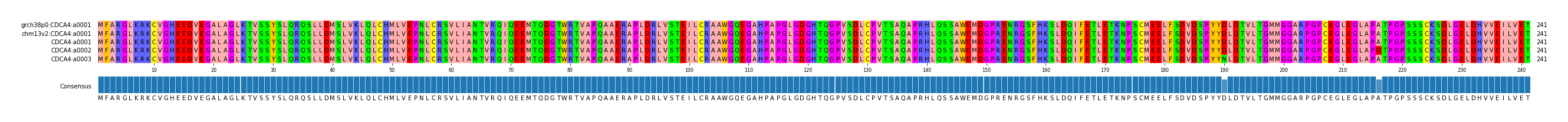 Multiple Alignments (by translate haplotype frequency)