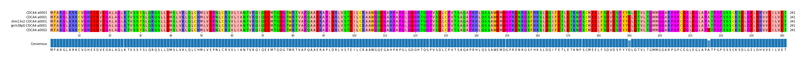 Multiple Alignments (by translate haplotype similarity)