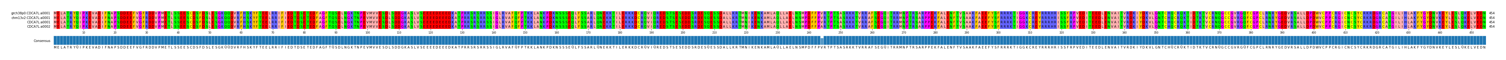 Multiple Alignments (by translate haplotype similarity)