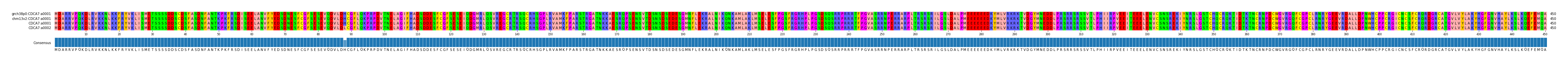 Multiple Alignments (by translate haplotype similarity)