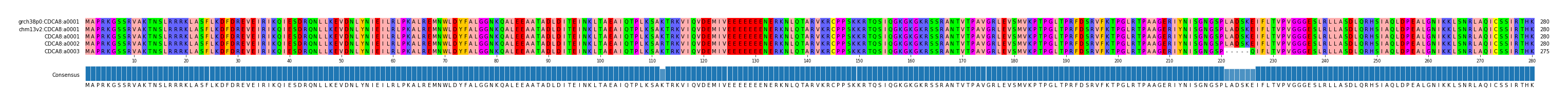 Multiple Alignments (by translate haplotype frequency)