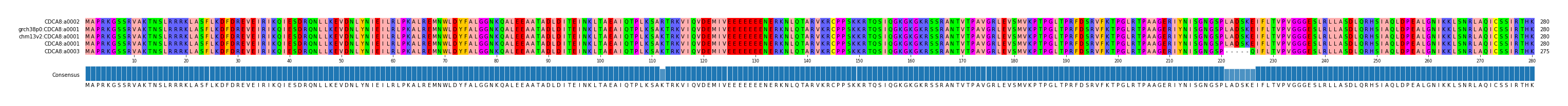 Multiple Alignments (by translate haplotype similarity)