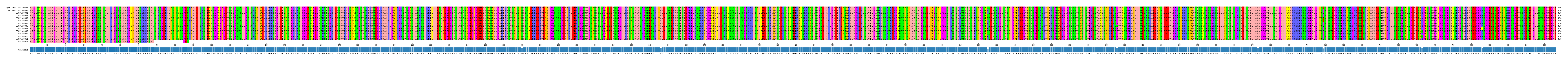 Multiple Alignments (by translate haplotype frequency)