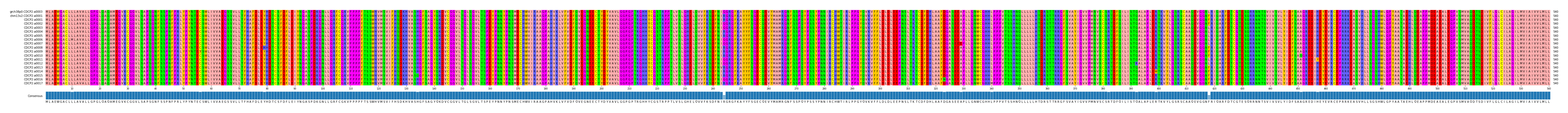 Multiple Alignments (by translate haplotype frequency)