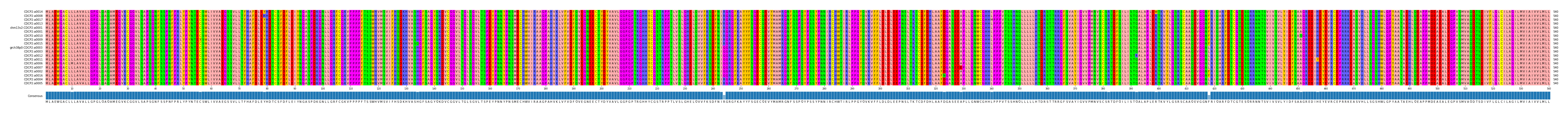 Multiple Alignments (by translate haplotype similarity)