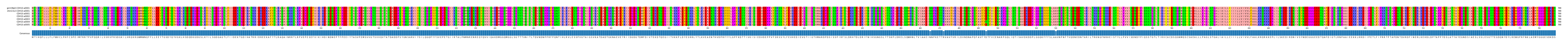 Multiple Alignments (by translate haplotype frequency)