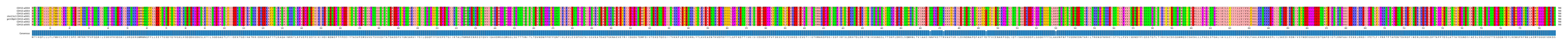 Multiple Alignments (by translate haplotype similarity)