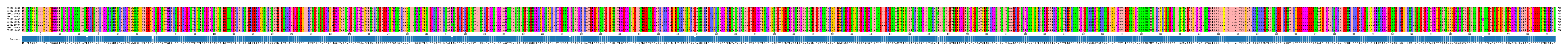 Multiple Alignments (by translate haplotype frequency)