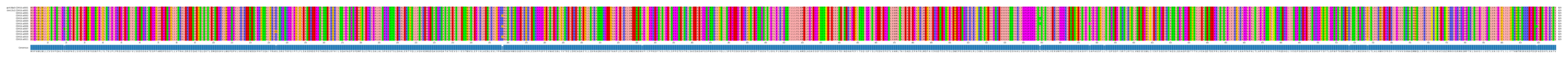 Multiple Alignments (by translate haplotype frequency)