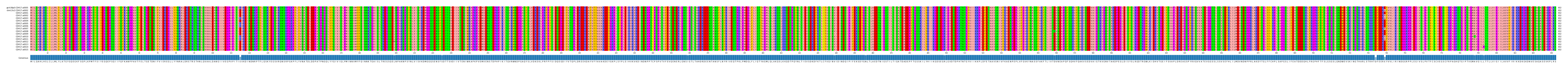 Multiple Alignments (by translate haplotype frequency)