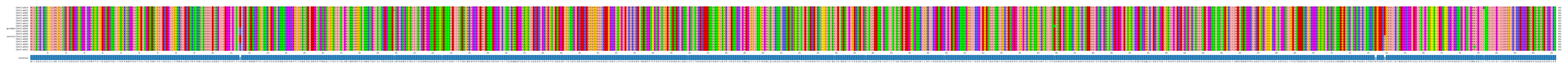 Multiple Alignments (by translate haplotype similarity)