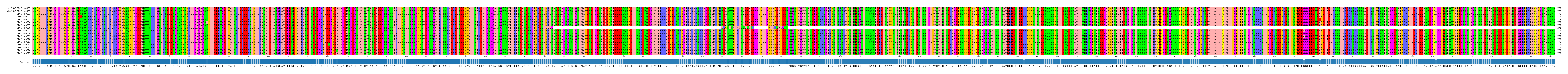 Multiple Alignments (by translate haplotype frequency)