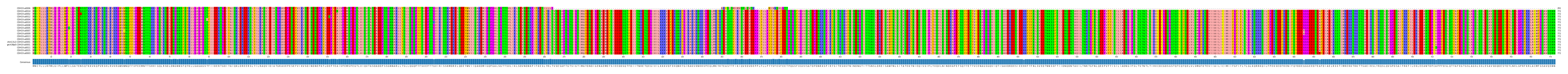 Multiple Alignments (by translate haplotype similarity)