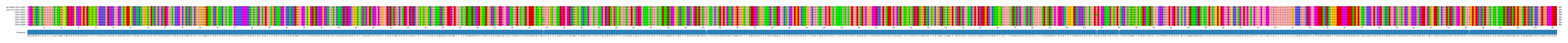 Multiple Alignments (by translate haplotype frequency)