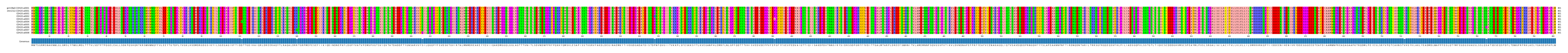 Multiple Alignments (by translate haplotype frequency)