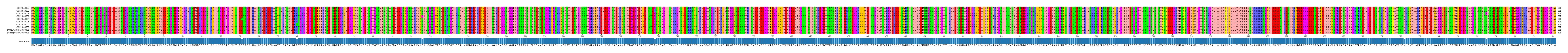 Multiple Alignments (by translate haplotype similarity)