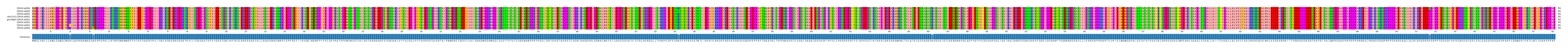 Multiple Alignments (by translate haplotype similarity)