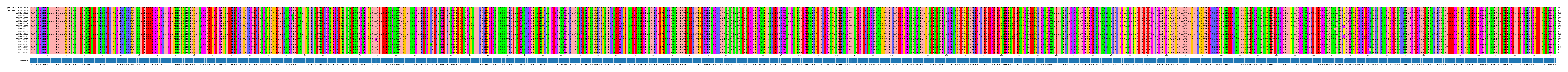 Multiple Alignments (by translate haplotype frequency)