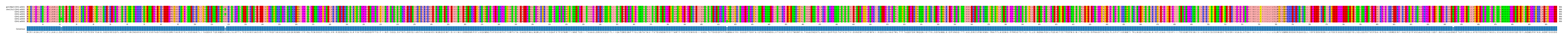 Multiple Alignments (by translate haplotype frequency)