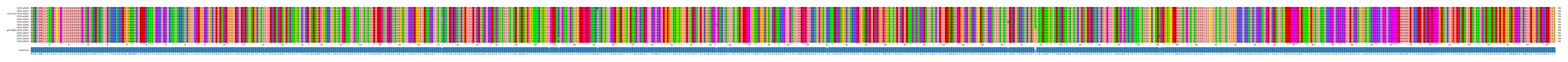 Multiple Alignments (by translate haplotype similarity)